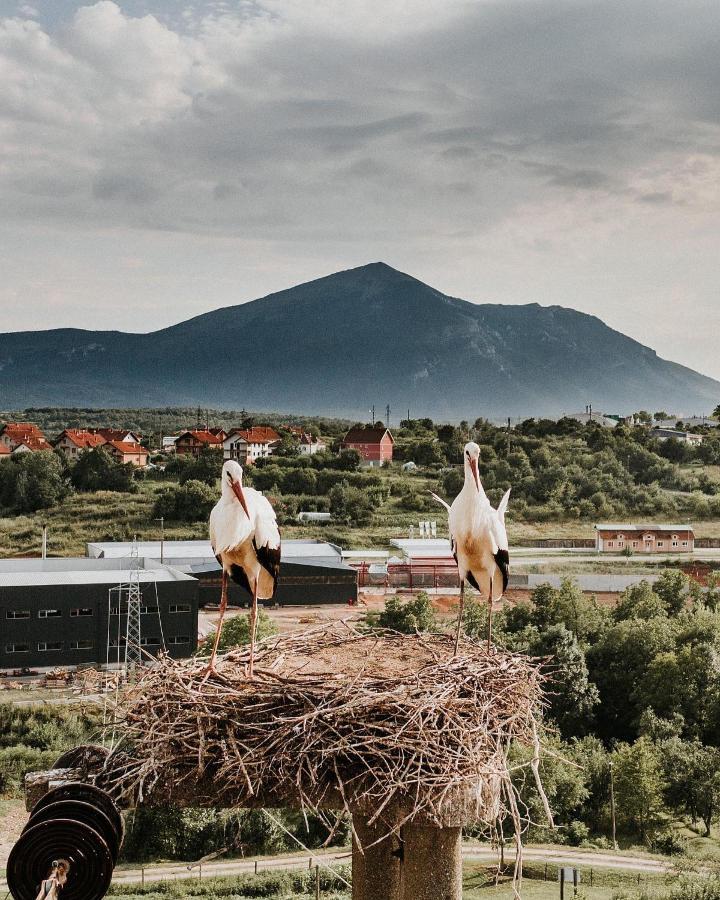 Rtanjska Bajka Apartment Boljevac Bagian luar foto